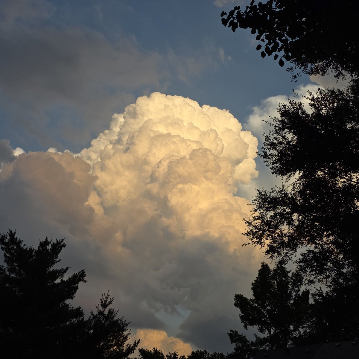 brad_tuck's tweet photo. @JacobLanierWx @fox4wx Looking SSE from Merriam https://t.co/pGtnrDD5Yt