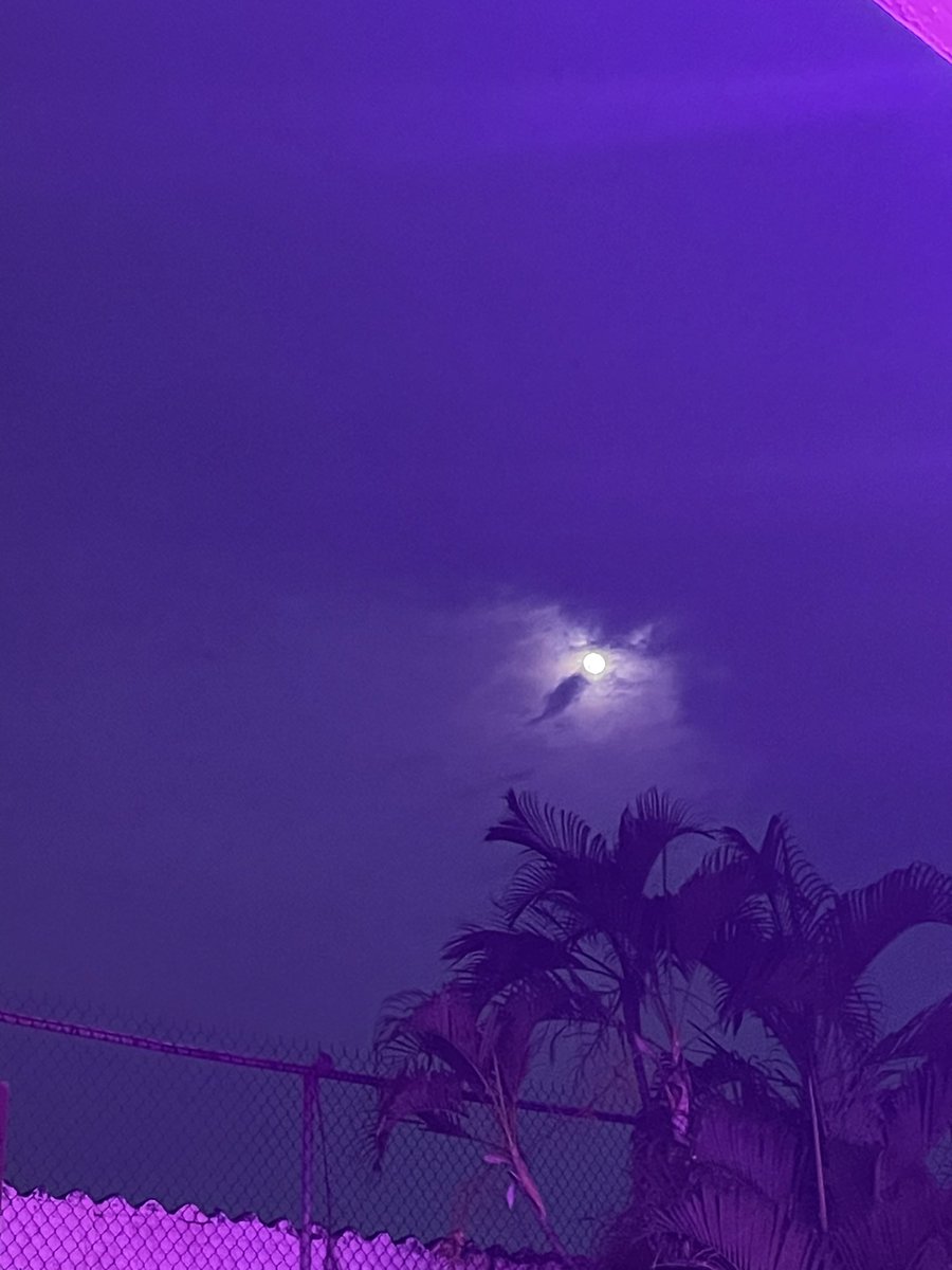 miotroverso's tweet photo. Sin Filtros 🌝 #Guayaquil https://t.co/BX21ftze5E