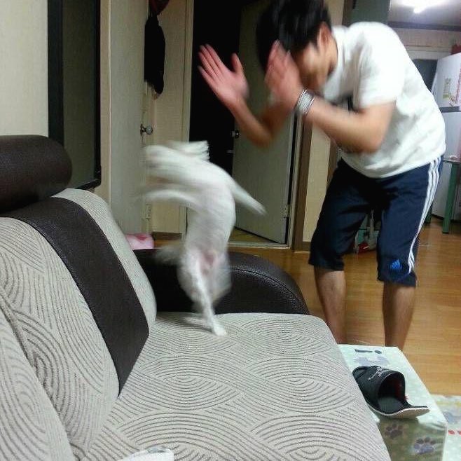 4zero404's tweet photo. @8igw4qv 누구야 누구야 https://t.co/CcVRj7znY2