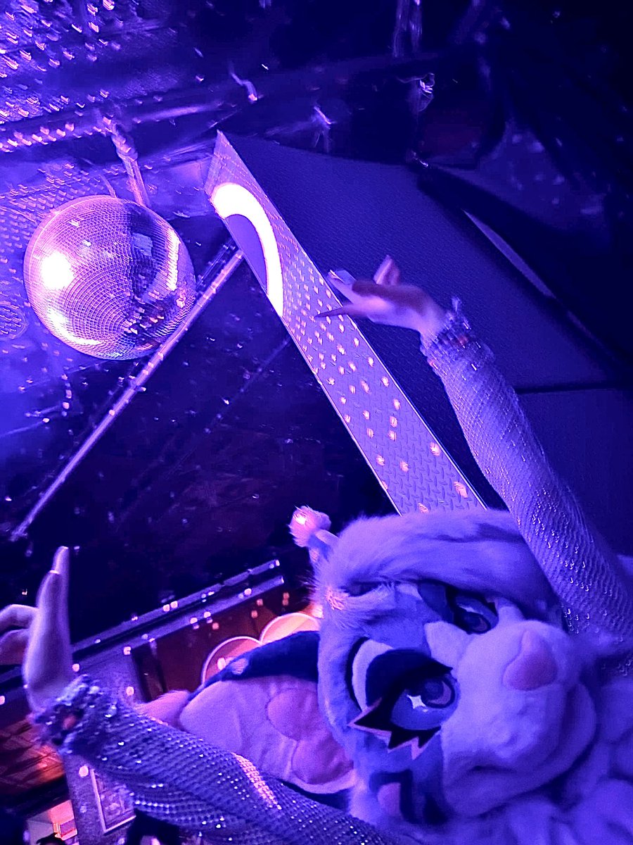 whimsiclaws's tweet photo. Chicago’s Party Animal 💜🩷💜 https://t.co/HOx2HlxgAP
