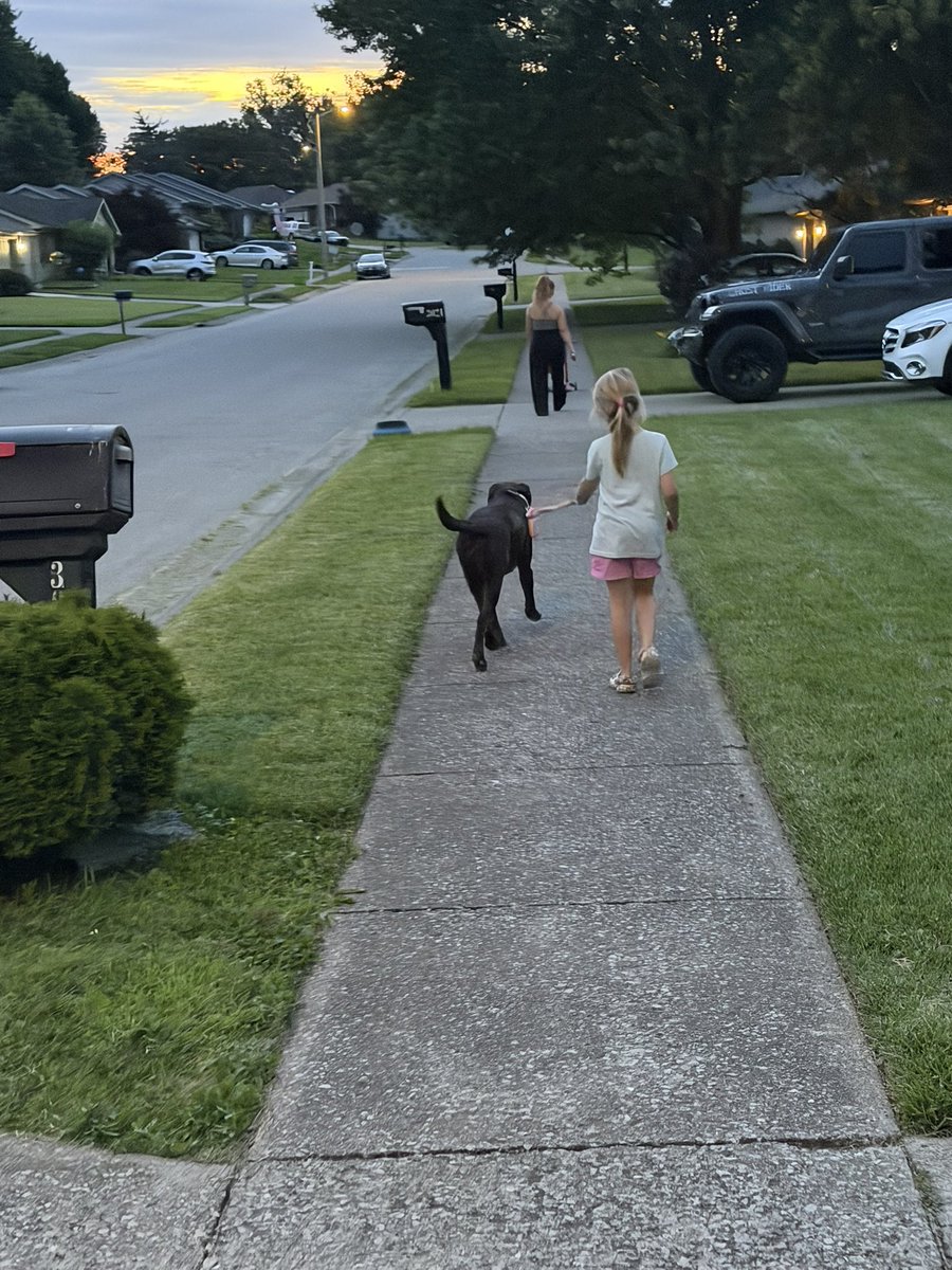 walls_jason1's tweet photo. Late night walks.  Summertime, want it to last forever.  
This is the first year we are letting my 7 year old walk the dog.  Also took the cat out. 
This is my Go touch grass post.  But honestly with agents and workflow it’s more of a review what was done.  
#codewithclaude https://t.co/V21N1YW44n