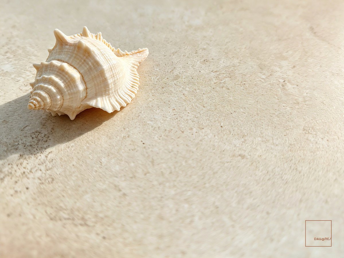 DaugresINT's tweet photo. 𝗡𝗲𝘄𝘀 • 𝗘𝗥𝗔 𝗜𝘃𝗼𝗿𝘆
Give rise to layered textures where sedimentary memories dwell.
#porcelaintiles
#ceramictiles
#livingroomdecor
#commercialdesign
#interiordesigner
#architect https://t.co/oCE6XvDXxX