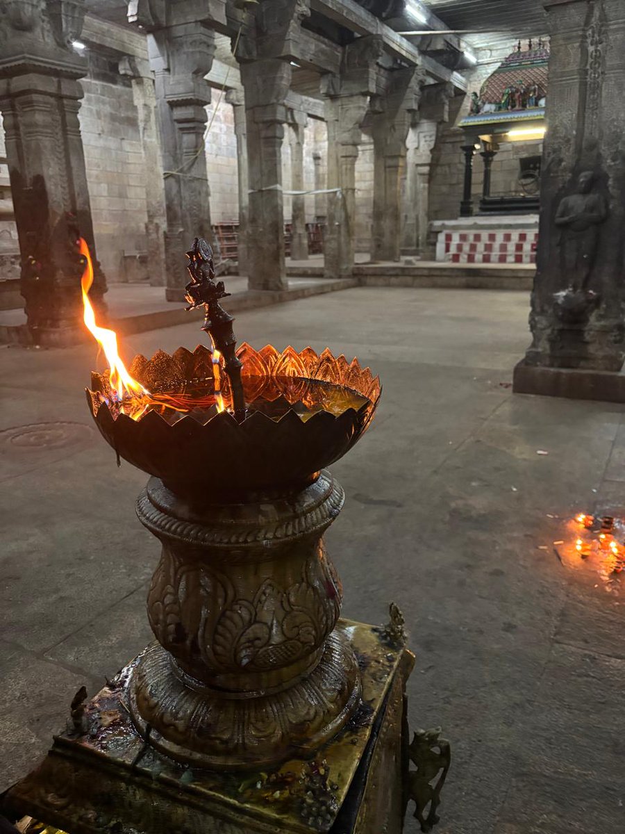 sheelamaradi's tweet photo. @indian_pitta https://t.co/fDxwq3j1dw