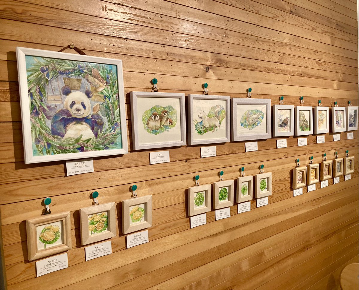 MitsumiyaSato's tweet photo. 📢🐪個展18日目

@gcCAMELISH さんでの個展
最終日ですー！！

☀️11:30〜17:00🌃
(ラストオーダー16:00)

台風が来ないギリギリ、晴天の最終日です…！
16時まで、お時間あればぜひ遊びに来てください。
最後までよろしくお願いします！ https://t.co/E6T0TCjHax