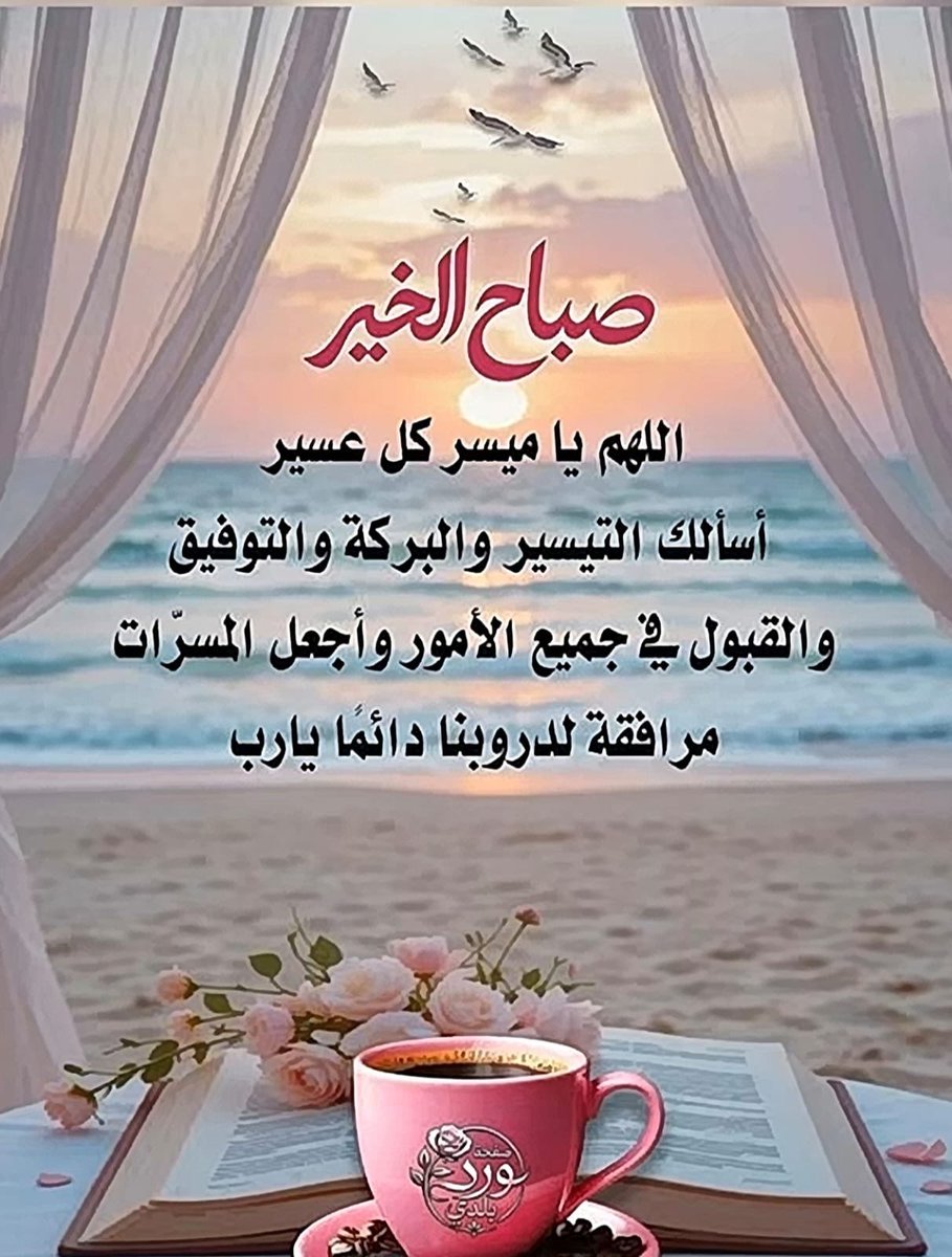 مشاري المشاري tweet media