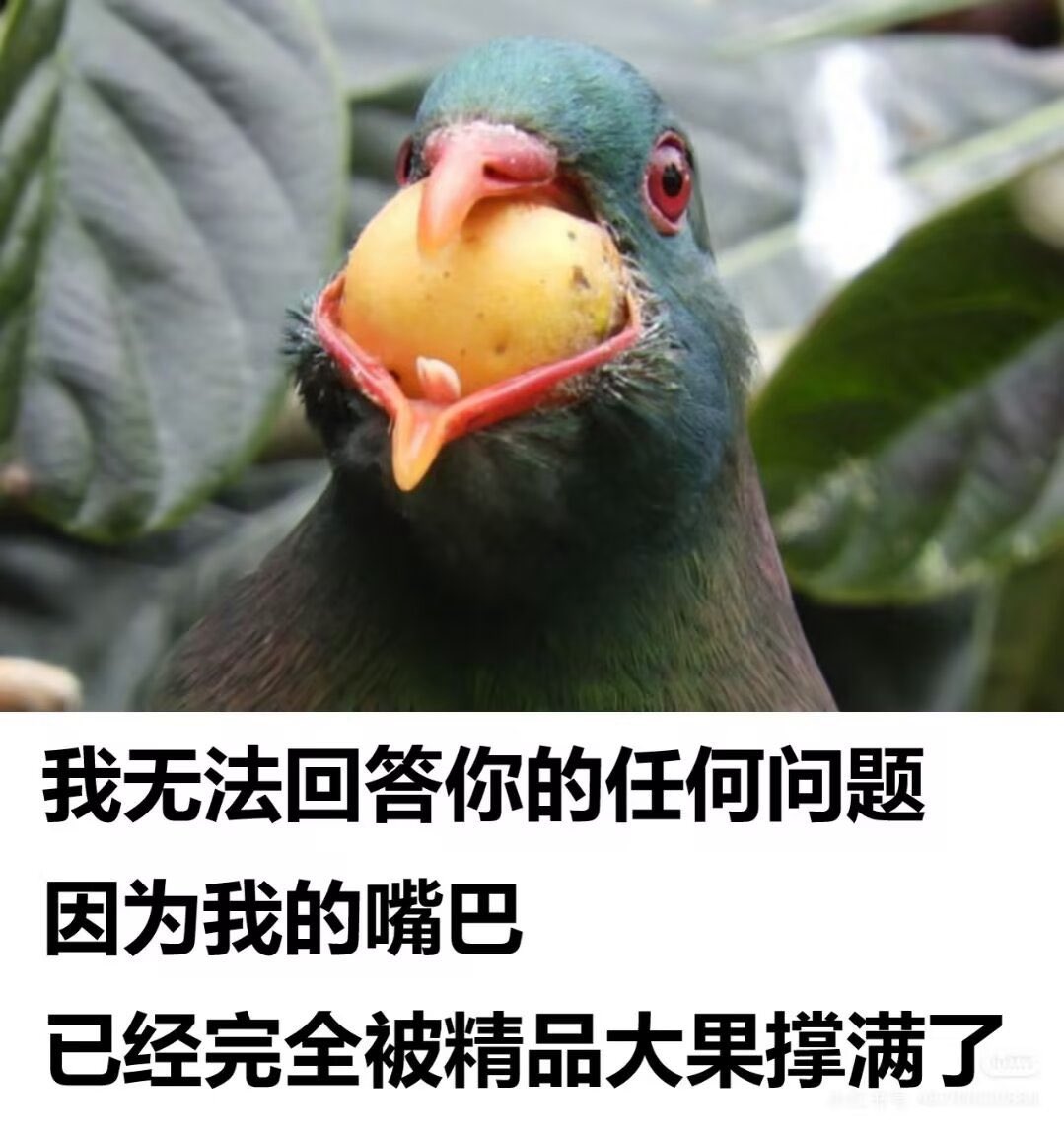 朝云 tweet media