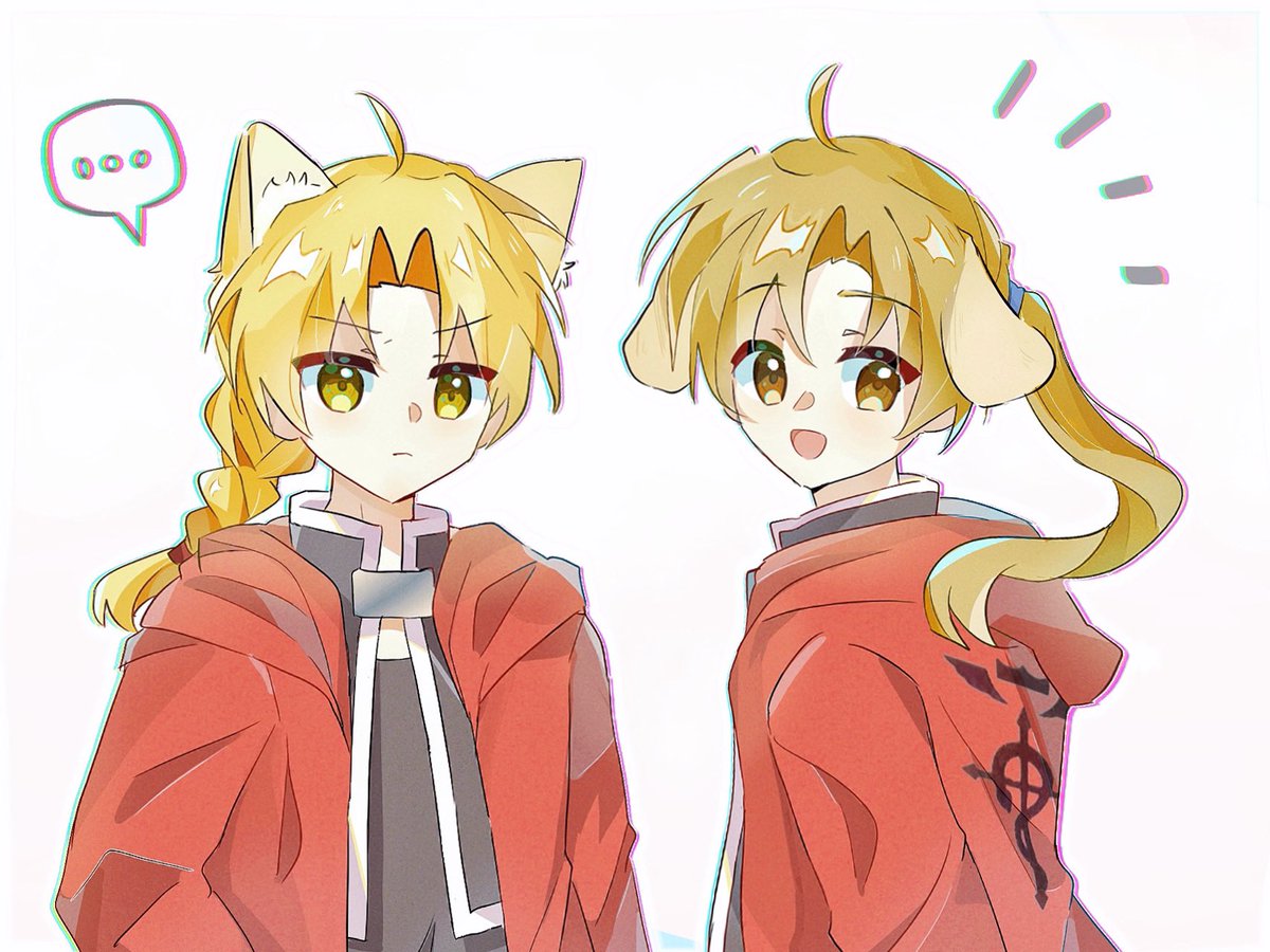 めぐみん tweet media