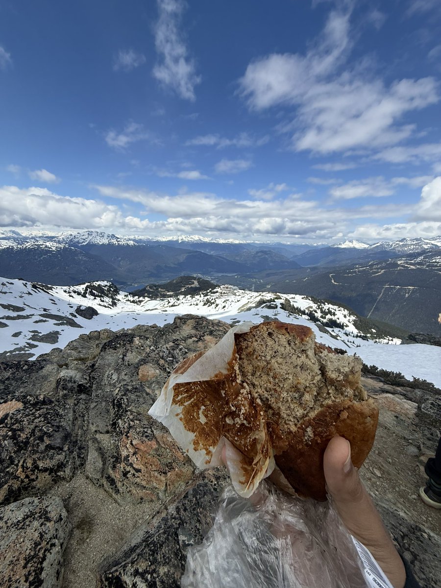 Iheartaltgurls's tweet photo. took my banana bread on a hike https://t.co/sulobjakHh