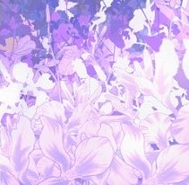 🎨익명의 자료계 tweet media