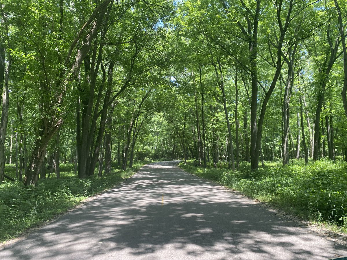 pastormercier's tweet photo. Edward R. Madigan State Park today! 🌲✨Spanning nearly 1,000 acres along Salt Creek, this local gem was originally called Railsplitter State Park before being renamed in '95 to honor Lincoln's own Edward Madigan. https://t.co/RdFfYimwyM