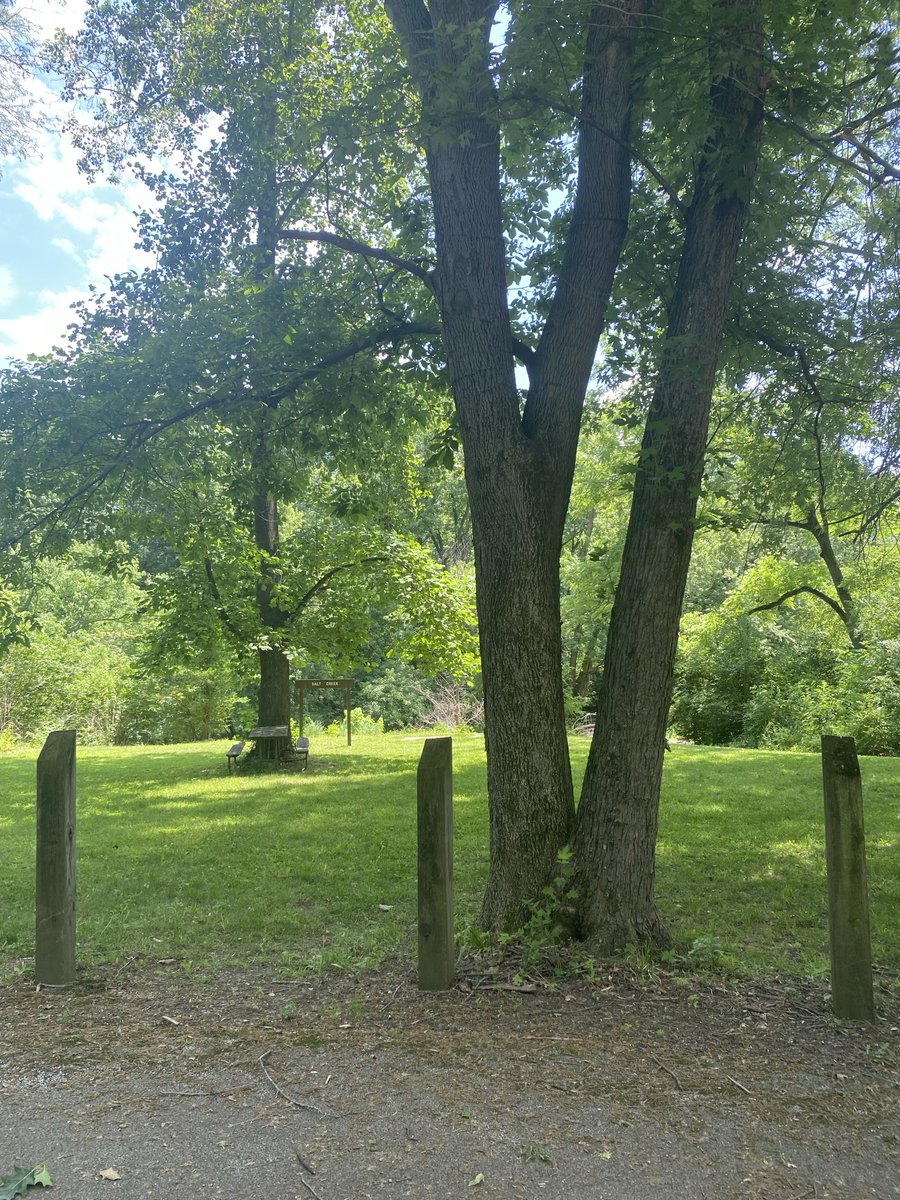 pastormercier's tweet photo. Edward R. Madigan State Park today! 🌲✨Spanning nearly 1,000 acres along Salt Creek, this local gem was originally called Railsplitter State Park before being renamed in '95 to honor Lincoln's own Edward Madigan. https://t.co/RdFfYimwyM