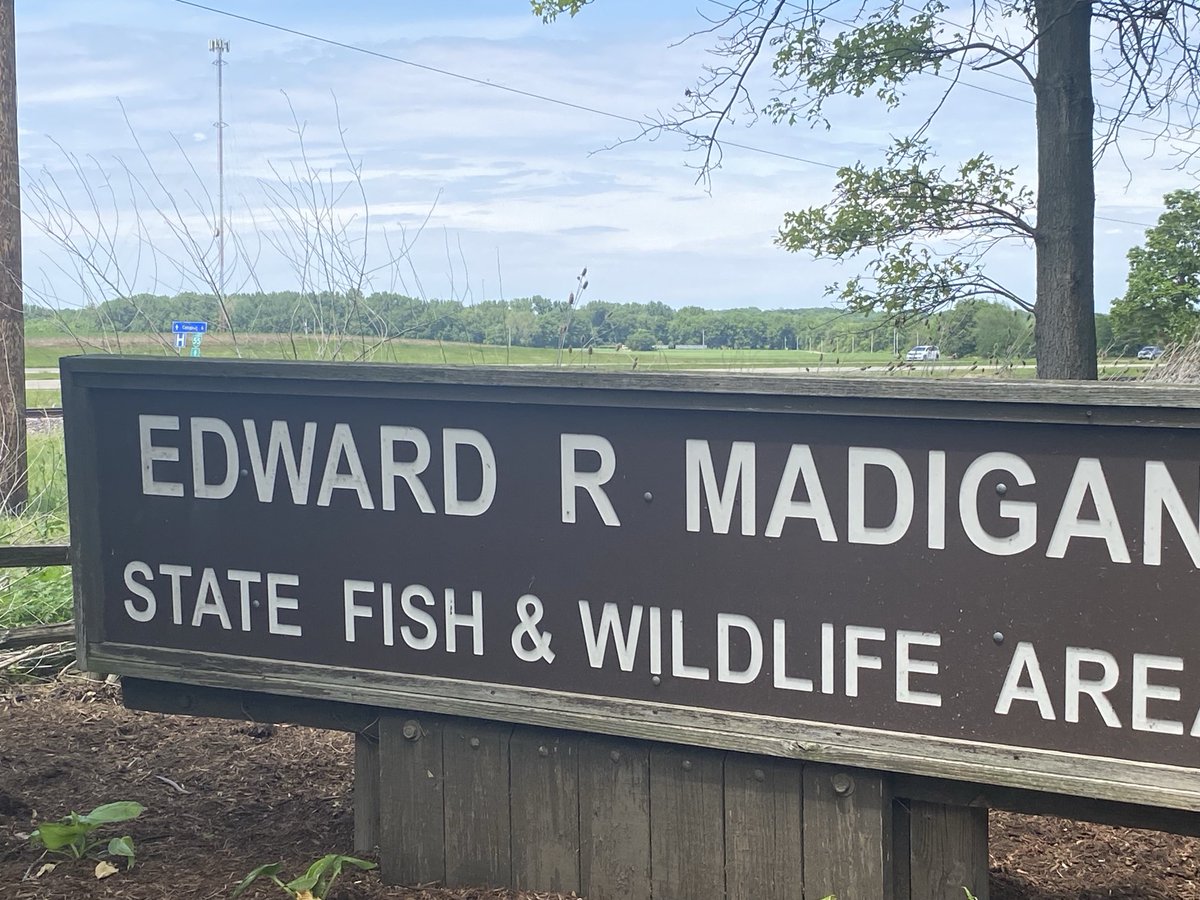 pastormercier's tweet photo. Edward R. Madigan State Park today! 🌲✨Spanning nearly 1,000 acres along Salt Creek, this local gem was originally called Railsplitter State Park before being renamed in '95 to honor Lincoln's own Edward Madigan. https://t.co/RdFfYimwyM