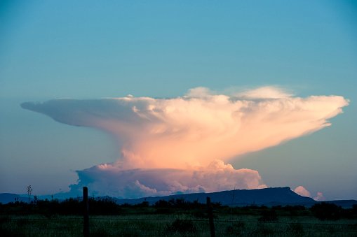 FindingAureus's tweet photo. cloud with rain bearing hips https://t.co/i1e0oeQSqz