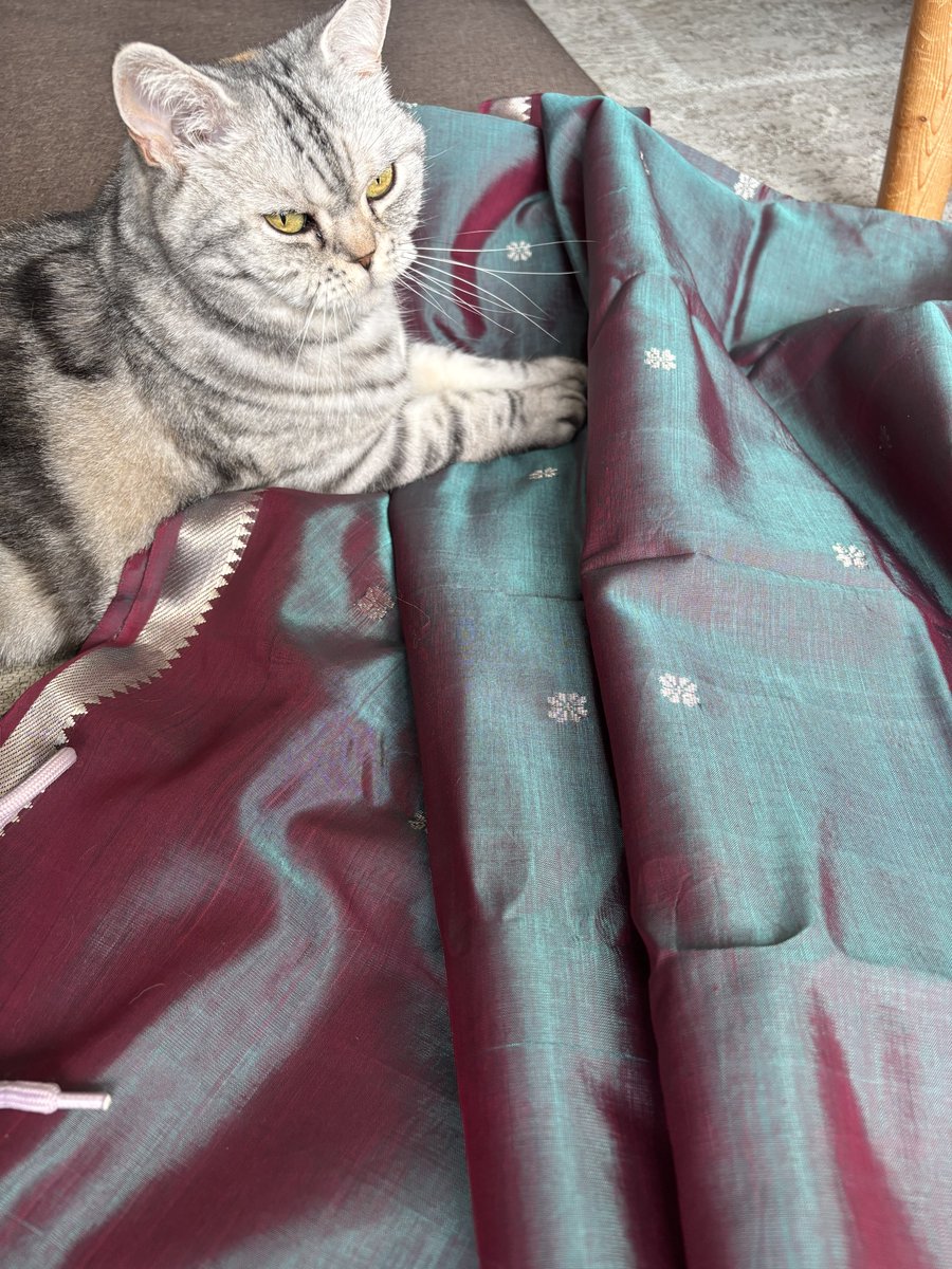 yolkmahishmati's tweet photo. 届いた…届いたわぁ…🥹
すみません、この光沢を自慢させて…🥹
王のお衣装に似た青緑と燕脂の玉虫色のサリー…
(ただ、肉眼で見ると写真より緑に寄って見える)
(とは言え、今まで見た、手の届く範囲の物の中では1番王のお衣装に近かった！) https://t.co/A6jqOH5eEm
