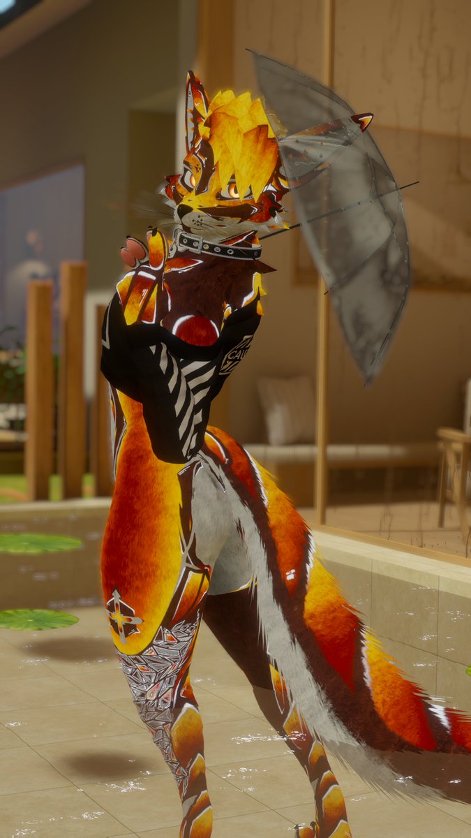 pedfox13's tweet photo. Posing on the rain~

📸/ @SkylarTheWusky https://t.co/ufjp1vg843