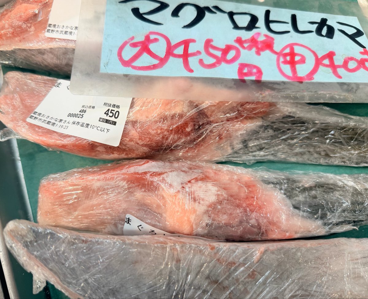 6/1(月) 本日もスタート！！ 本マグロの子供メジマグロ鮮度抜群！で