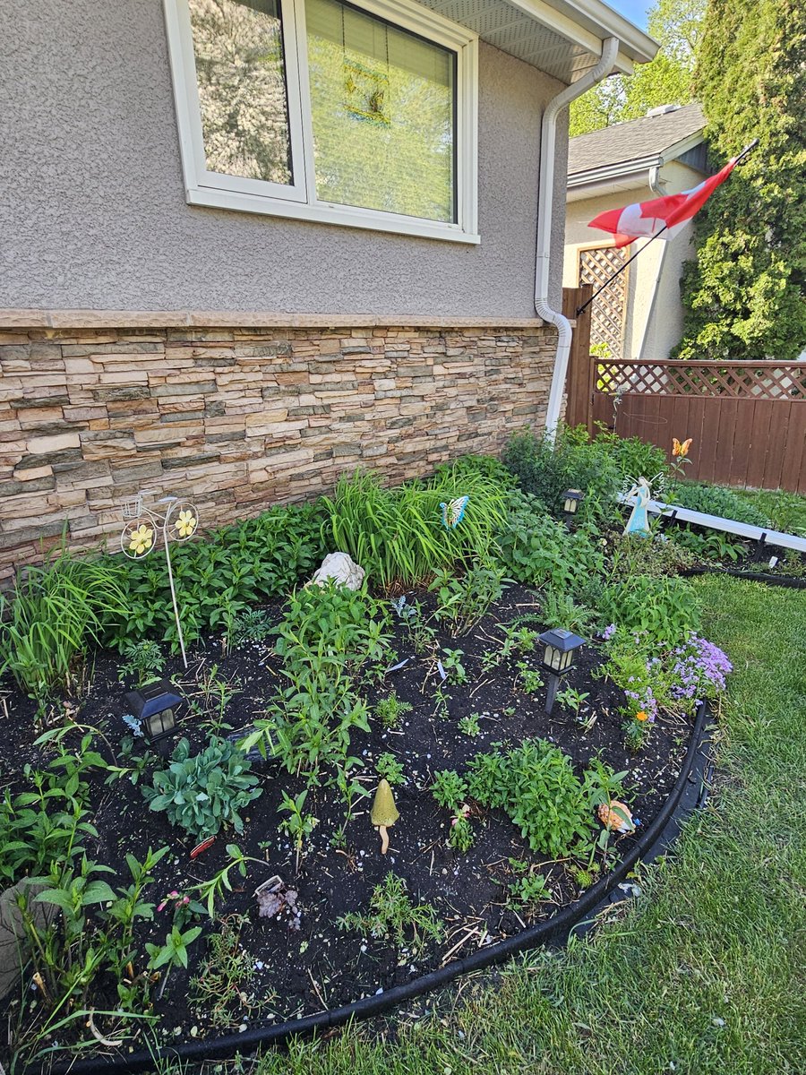 fishergirl39's tweet photo. I have finished planting everything! Now it's time for some rainπ¦ #pleasegrow https://t.co/tXr359kPdE