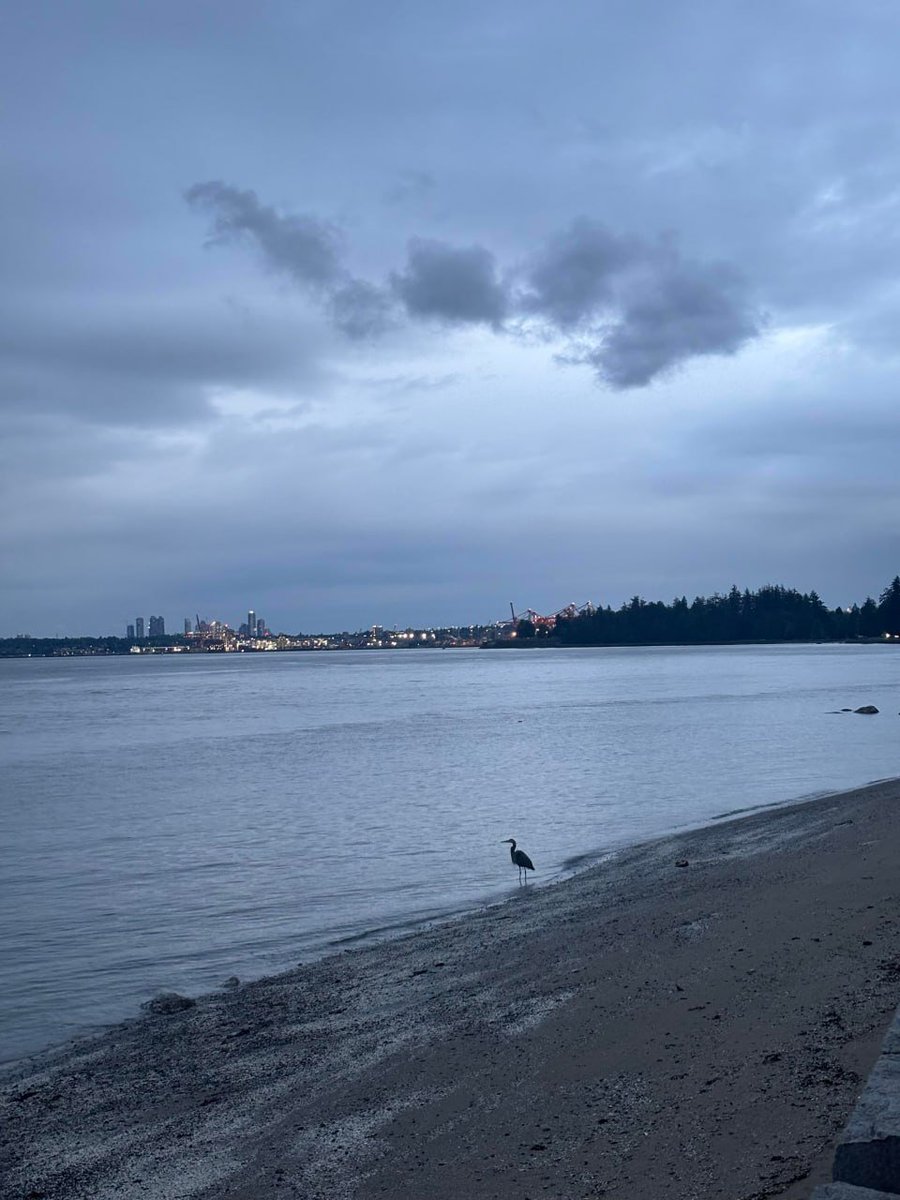 Micsxstts's tweet photo. It was a beautiful evening, a beautiful place, and a relaxing weekend https://t.co/UI4UpMUdzk