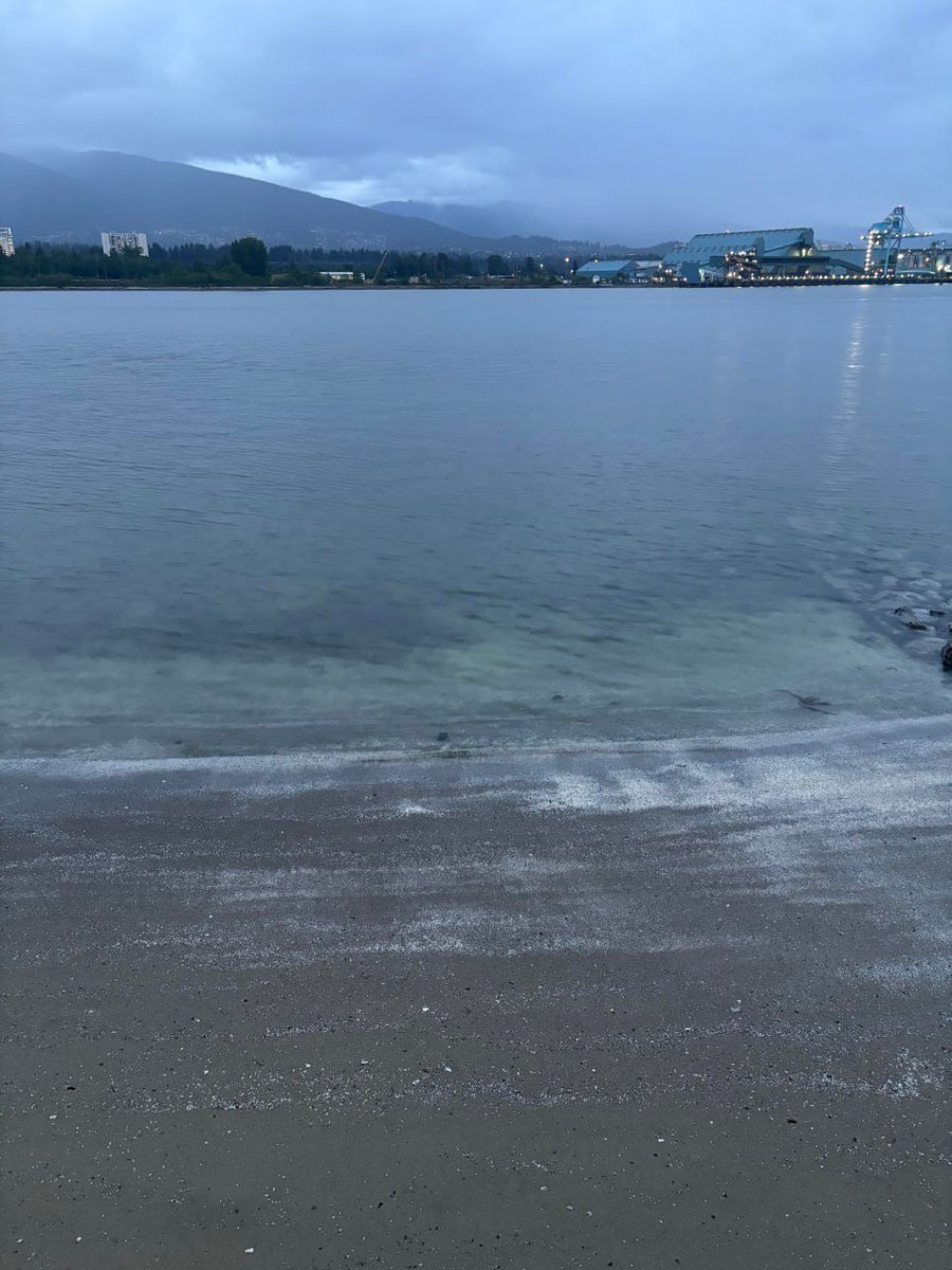 Micsxstts's tweet photo. It was a beautiful evening, a beautiful place, and a relaxing weekend https://t.co/UI4UpMUdzk