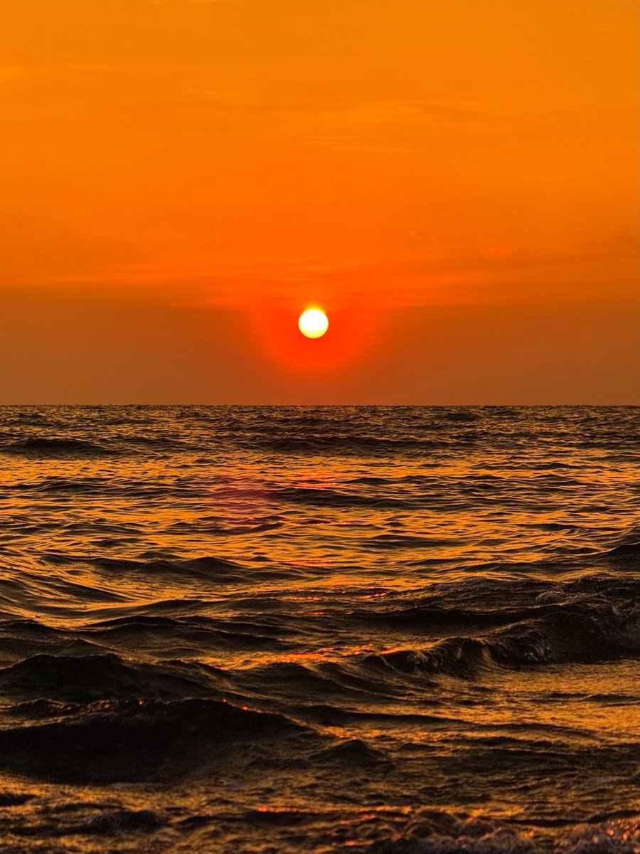 shadesof_nature's tweet photo. https://t.co/atIEV3NVSv