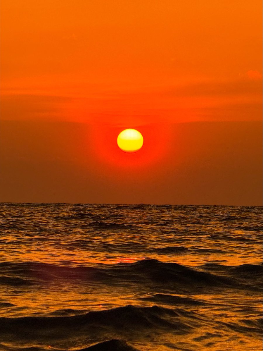 shadesof_nature's tweet photo. https://t.co/atIEV3NVSv