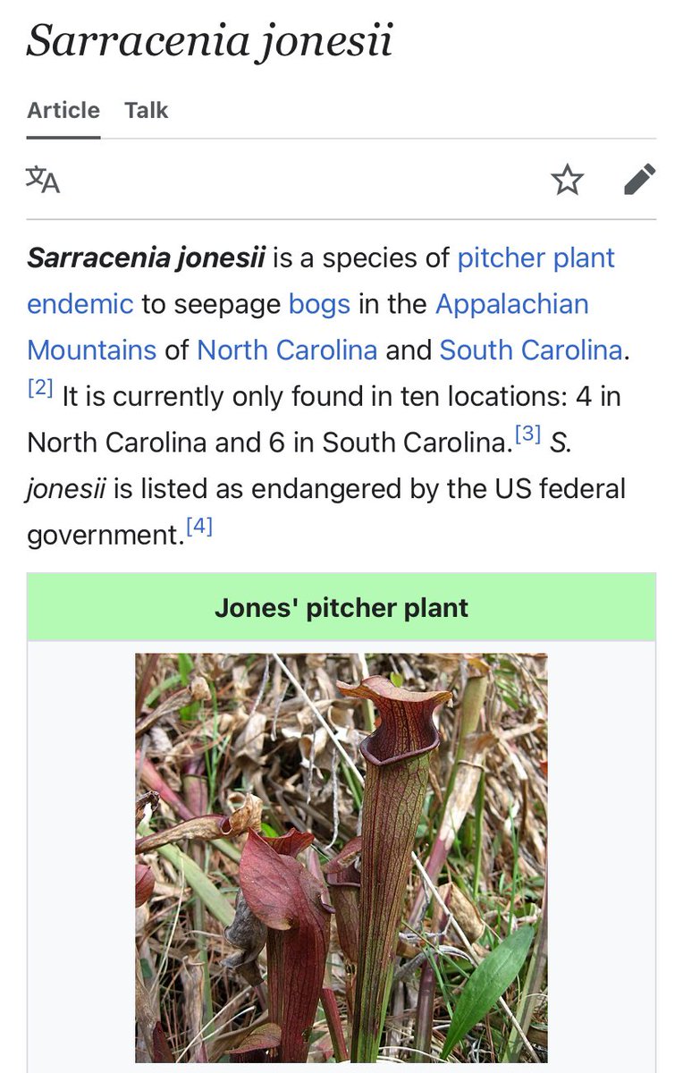jacobfuknjones's tweet photo. Venus Flytraps are really cool, but did you know that NC actually has many endemic carnivorous plants?

One of which, the Jones pitcher plant, is native is North Carolina as well. Pretty neat. https://t.co/Nu7Su6pQm0