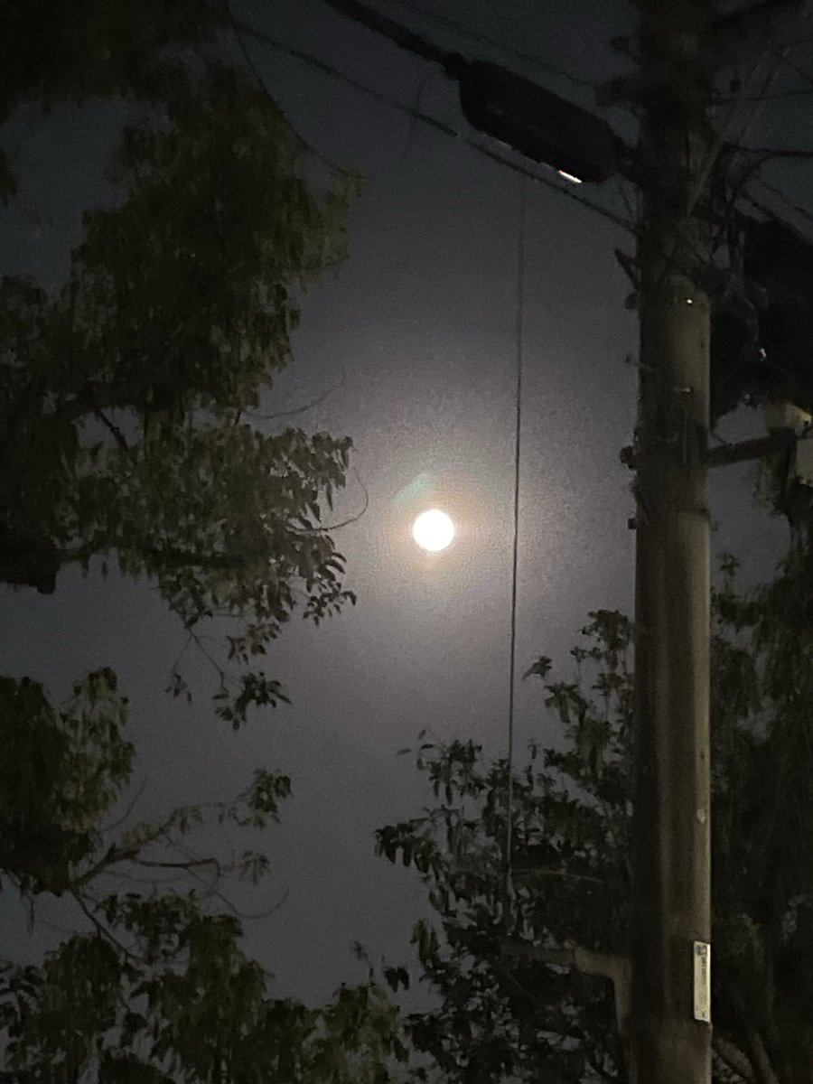 wyg9h's tweet photo. ユウベソラ🌝
綺麗なブルームーン🌕

ポストしようとしたら寝落ちしてた😅 https://t.co/AcbTQCeiyg