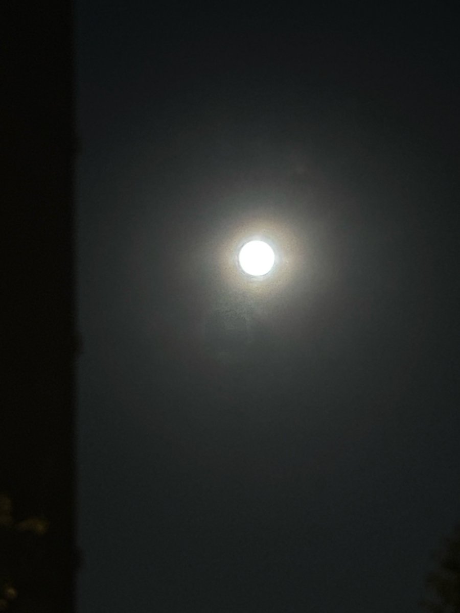 wyg9h's tweet photo. ユウベソラ🌝
綺麗なブルームーン🌕

ポストしようとしたら寝落ちしてた😅 https://t.co/AcbTQCeiyg