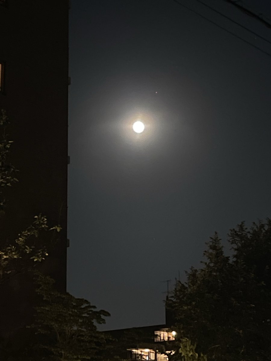 wyg9h's tweet photo. ユウベソラ🌝
綺麗なブルームーン🌕

ポストしようとしたら寝落ちしてた😅 https://t.co/AcbTQCeiyg