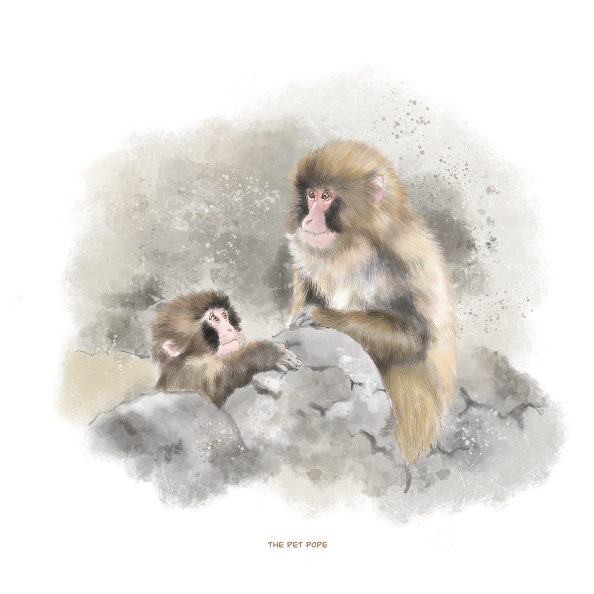 ThePetPope's tweet photo. When Punch first joined the monkey troop, he was full of admiration for his big sister. 
Now he had grown into a big boy who can even fight back against his sister without feeling guilty! Punch has really grown up～😅🥹👏

#がんばれパンチ
#市川市動植物園
#パンチ
#Panchi #Punch https://t.co/XUgo43UNR5