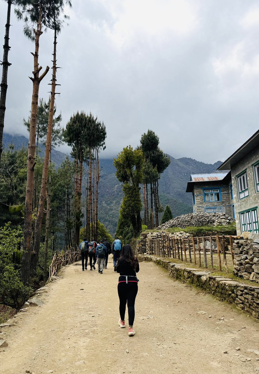 sonalgoelias's tweet photo. Let life keep taking you to the hidden gems unexplored ๐ธ
#MountainsLov
#EBCTrek ๐๏ธ
#HighAltitude
#EverestBaseCamp
#ChallengeYourOwnLimits https://t.co/PSWaz0YOhd