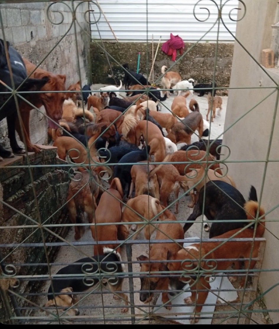 Wborgesprotecao's tweet photo. Junho tá chegando , contamos com vcs nos últimos 14 meses de campanha.
Amanhã vou gravar um vídeo .
Precisamos de 1.910 amigos doando R$10 
Pix cpf 077.469.026-77 Walisson https://t.co/FafwXmSuR0