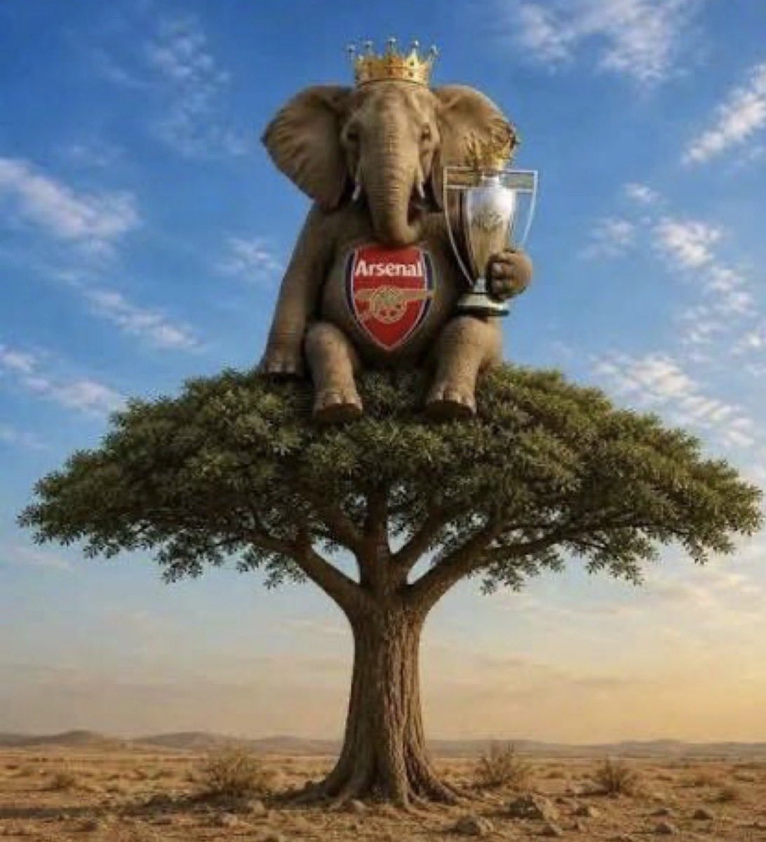 MrFcb5's tweet photo. @S00700770 @Abdullah__136 ارسنال ما يحتاج شهاده من امثالك يا عزيزي ، فريقك العاشر في الدوري وبعيد عن المشاركات الاوروبيه السنه القادمه وصدقني انتم جمهور تشيلسي مثل الحمير امثال مناور و شرقي لا عقل ولا احترام كيف اتناقش مع جهلة 😂😂😂 https://t.co/XC87NiMb9A