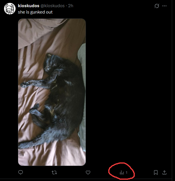 kioskudos's tweet photo. am i muted how do i get ONE VIEW https://t.co/rZRV3dDofO