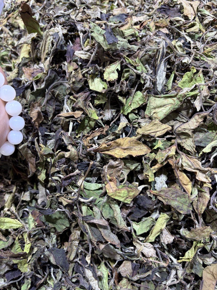 gowiden's tweet photo. Superb, top-quality #whitetea 🍃 #AncientTreeTea 

📩 DM me to get a taste ~ https://t.co/nfOpgFdgMU