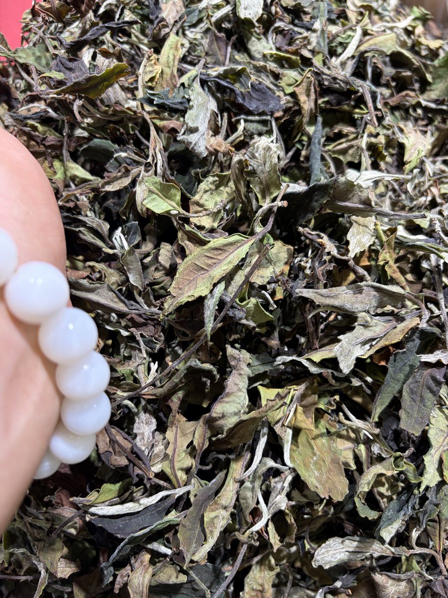 gowiden's tweet photo. Superb, top-quality #whitetea 🍃 #AncientTreeTea 

📩 DM me to get a taste ~ https://t.co/nfOpgFdgMU
