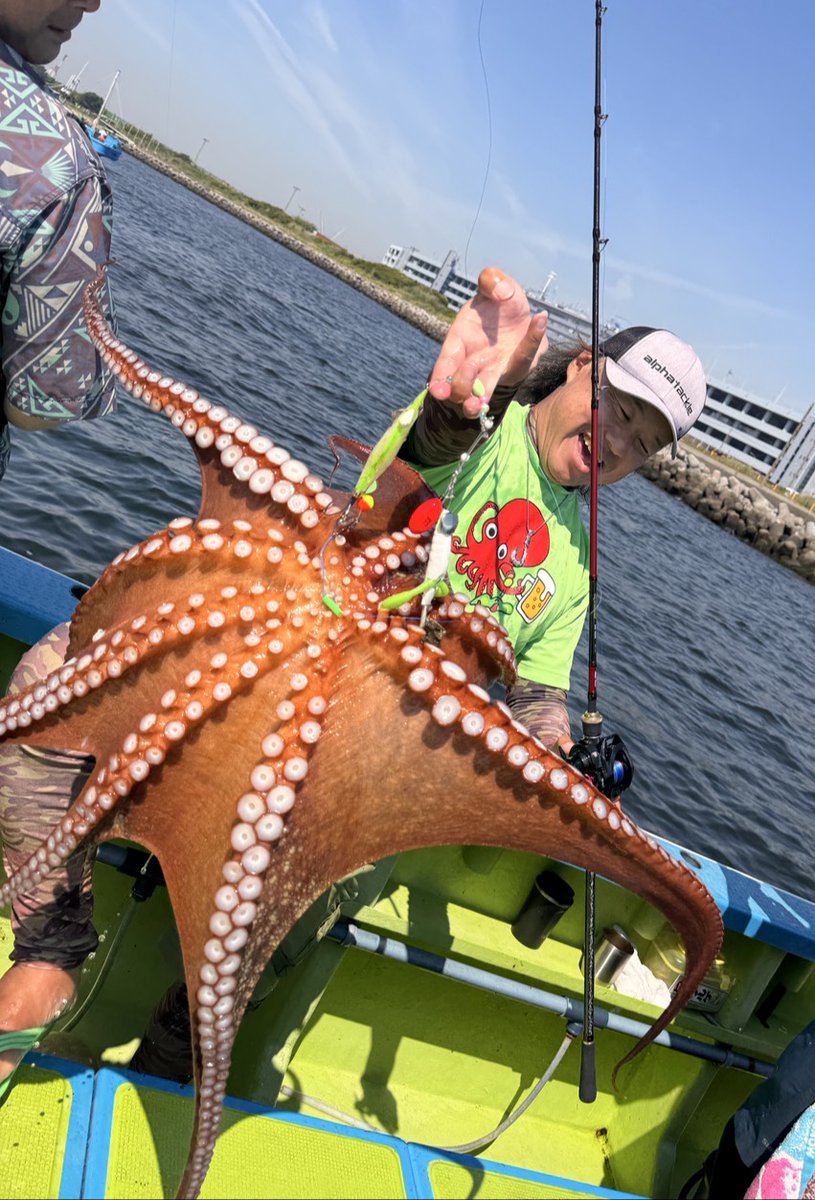 makonamimaru's tweet photo. えっへへ〜🐙
＃マダコ
＃東京湾
＃解禁
＃アルファタックル
＃アルファソニック
＃ディーノタコ https://t.co/u7YK4HEq51