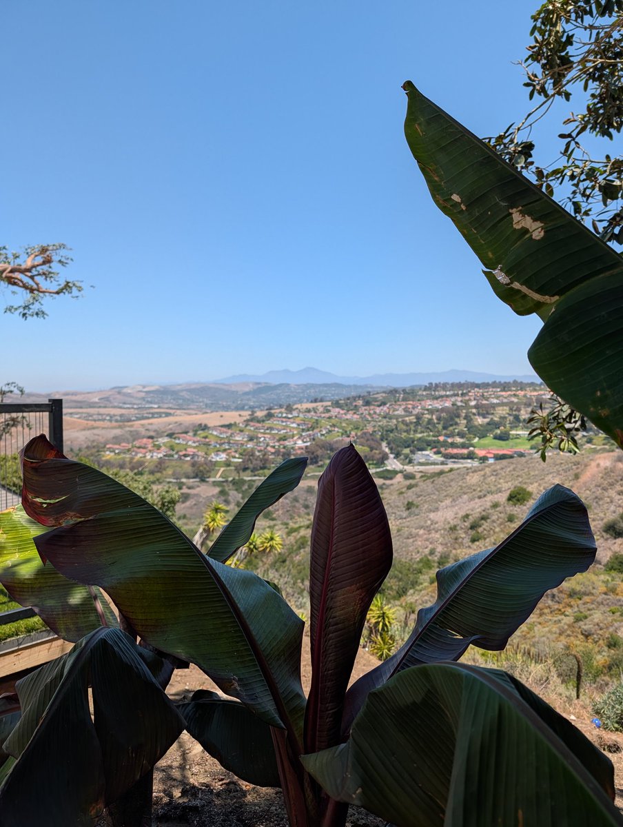 PlaynCharacter's tweet photo. Seemingly working in the sky today. San Clemente, California. https://t.co/ce8tIeLmWz