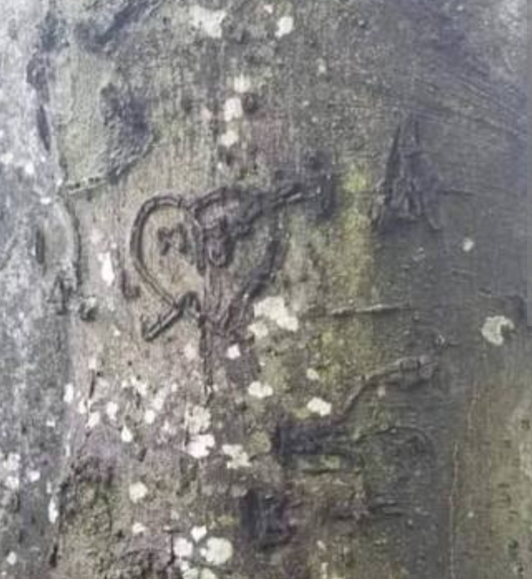 susantqm's tweet photo. @Random07107 @MJAllForLove I don't know... There's a photo with an inscription that has been said was made by Michael on a tree at Graceland. It's a heart. Look below. https://t.co/bsc1LIvtXi