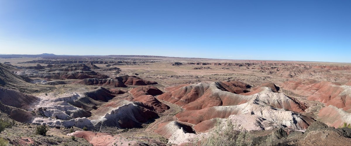 danielrbenn's tweet photo. Arizona is another planet, folks. https://t.co/Mz8VMp0pKm