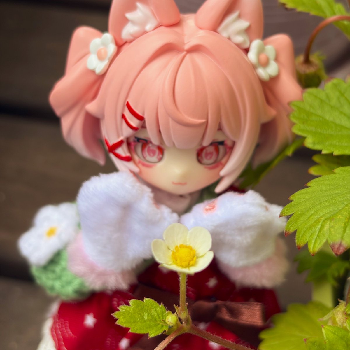 necoraw's tweet photo. ワイルドストロベリー🍓買っちった…。
これはニャンが食べちゃっても大丈夫なやつ😸 https://t.co/KppfRfn8QD