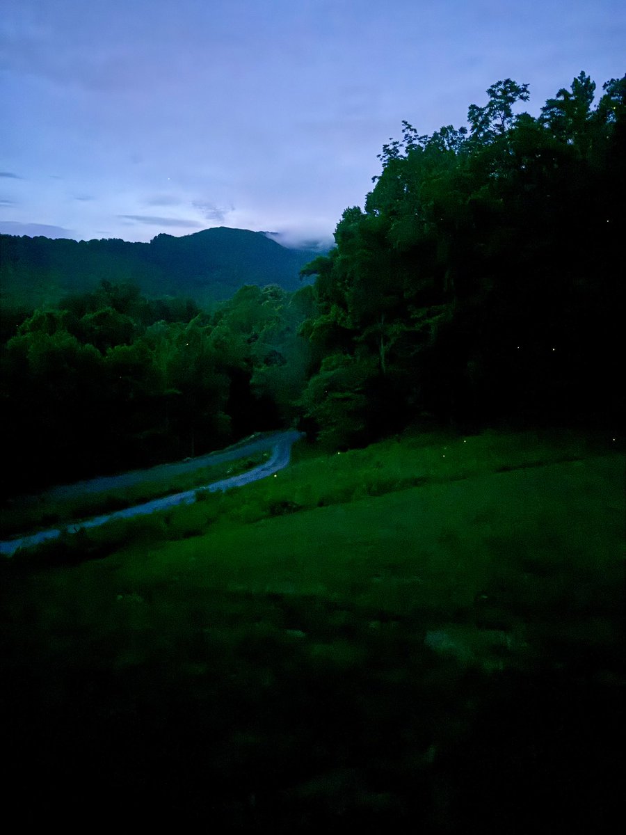 Sean__Reed's tweet photo. Sound On! Evenings in the Roan Highlands. Firefly season is upon us. https://t.co/oQa0TlD2zz