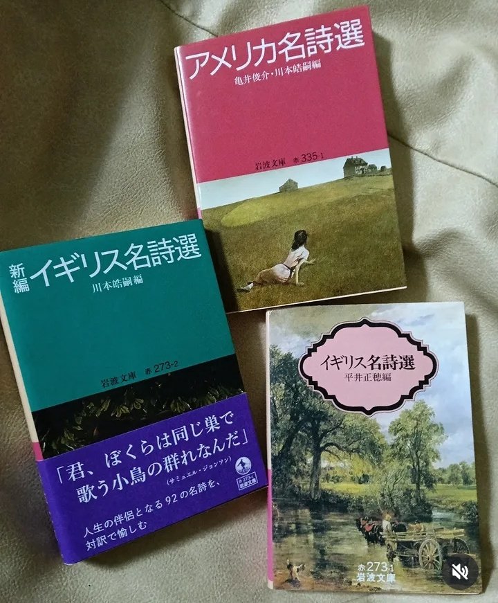 imosawariki's tweet photo. 英語に自信がなくても、日英対訳なら洋小説を原文で楽しめる！ ということでオススメの本たちです。共通項は、学校英語（文法等）ではなく、あくまで原文を味わうことに主眼を置いている点です。
・原文のまま（レベル補正していない）
・文学性に忠実な和訳（学習のための和訳ではない）
・解説付き https://t.co/a5xA0msmKb