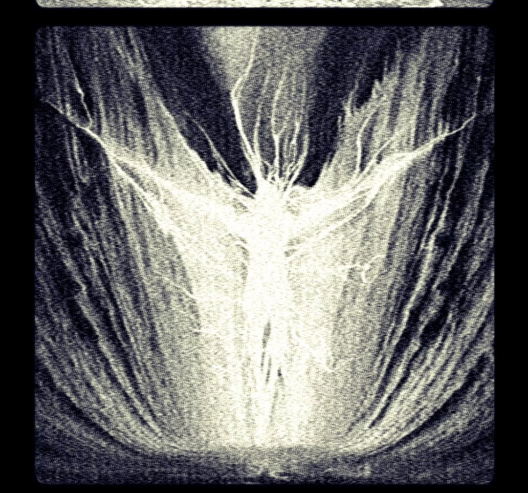 _engineerPlier_'s tweet photo. WE GOT BIBLICAL PICTURES FROM THE X-RAY OF SM-13!?! THE "LIGHT"!!!! HOLY SHIT https://t.co/OR50TS1c1J