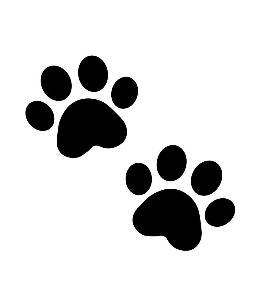 ◡◡ 𝗿𝗮𝗲 .ᐟ ⨳ tweet media