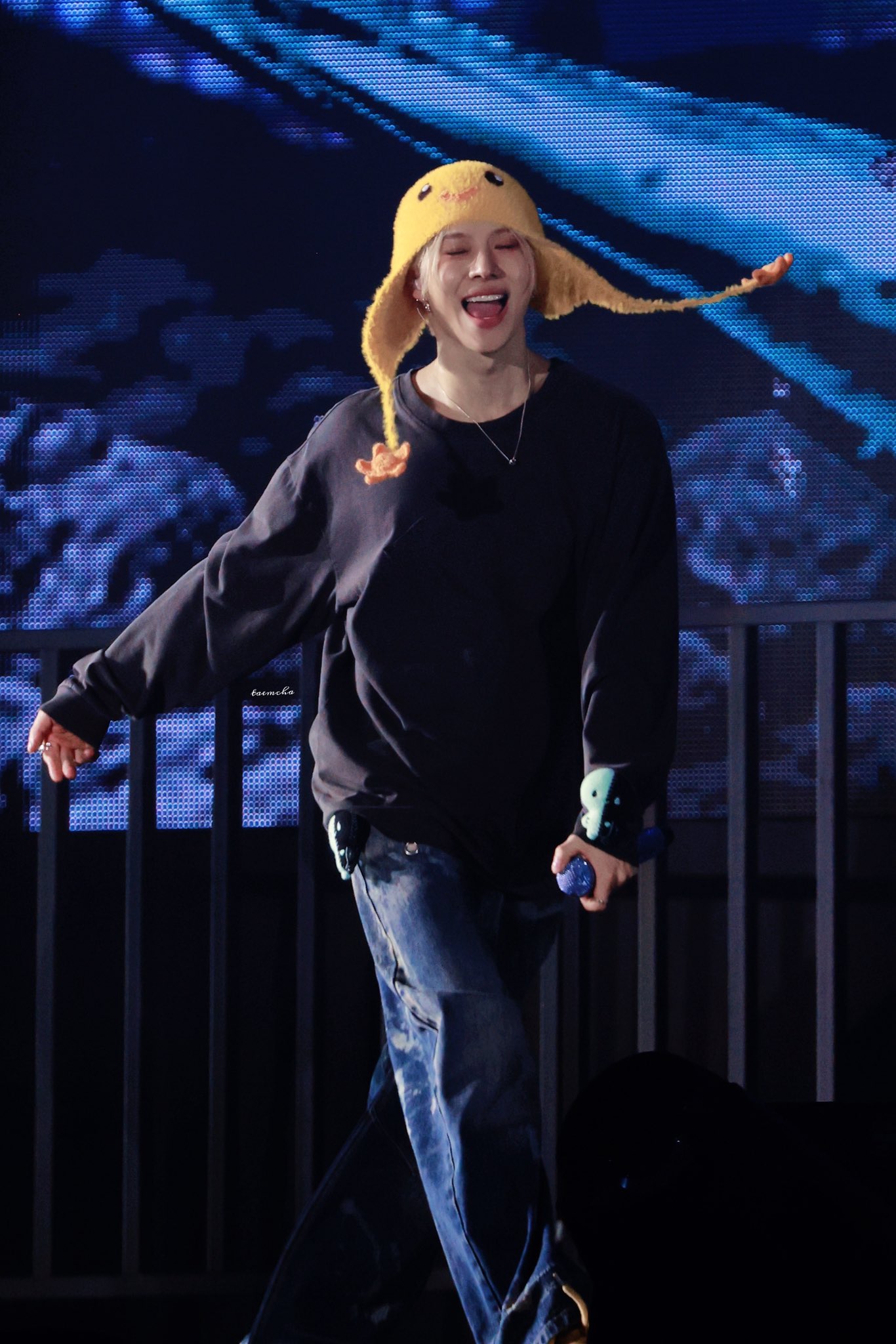 이미지