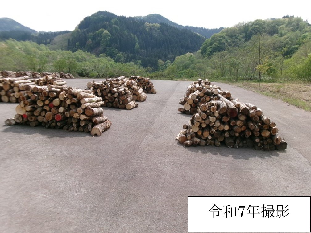 mlit_noshiro's tweet photo. △森吉山ダムからお知らせ△
森吉山ダムではダム周辺の伐採木や流れ着いた流木を有効活用いただくため、地域の皆様へ無償で提供いたします。希望する方は事前申し込みが必要です。提供場所などの詳細は以下の事務所HPの記者発表コーナーや広報きたあきたに掲載しております。https://t.co/DrD1smeIKG https://t.co/Q3FdcjBh8t