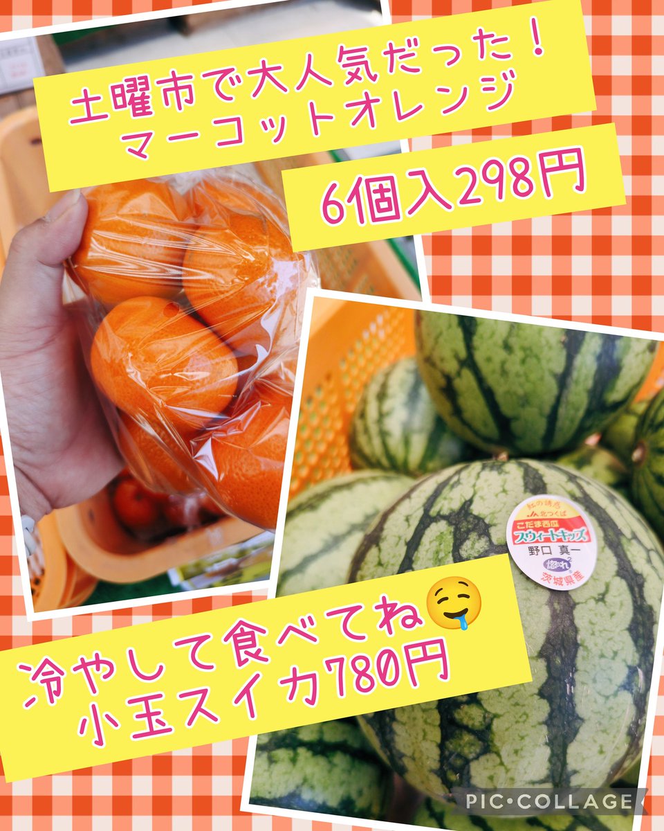 2026/06/01 おはようございます😊 今週もよろしくお願いします┏○ﾍﾟｺｯ