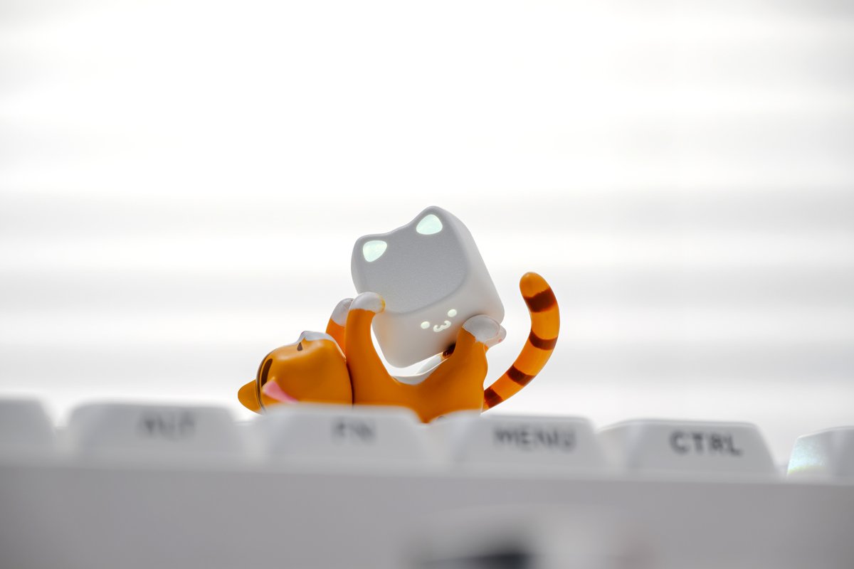 xvx_keyboard's tweet photo. Play with cats.🐱🤍

A clean white design that blends effortlessly into any desk setup — adding just the right touch of cuteness to brighten your space.

Keycap: XVX Lumiucat
Grab yours now. Link in bio
https://t.co/OCY1fozDyk
#xvx #keycap #xvxkeyboard #desksetup https://t.co/CcMsVrfX5Z