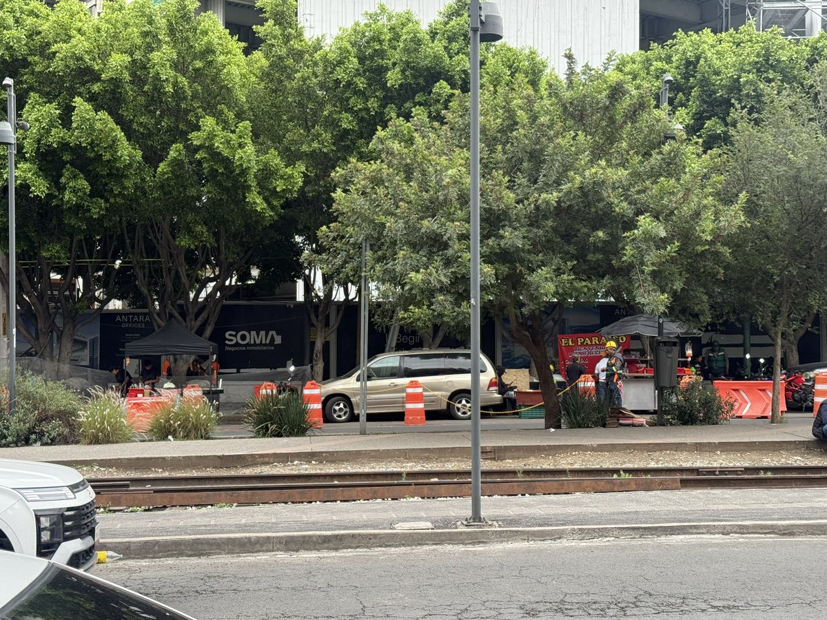 sonntag1963's tweet photo. @CuadranteME @p1chagoya @ParquesPolanco8 @EcocidioCdMx @cdcasillas @colanahuac_cdmx @PoligonoMH @LagoAlbertoMH @fconsydig @NoMeTocaMH @AreasVerdesMx @MHDMAS_ @ArbolesMx @javijhae @Claudiashein @AlcaldiaMHmx @vromog @vecinos3lagos @LasGranadasMH @PericoDS @Foro_TV @azucenau @PAOTmx @SEDEMA_CDMX @MHPoligono @AguaCdMx @SLPierce57 @VaneVillareal_ @mariana_boy @mroblesg @5antaMerlina @VozCdMx @JLMatabuena @supercivicosmx @GendarmeriaMH @Barbariux_ @chefyre @MrElDiablo8 @comunicacionRS @parqueRS @VigilanteCDMX @LuisAngelMarin Acá en la segunda fase de antara estoy atento. La constructora ya comenzó a dañarlos, mientras el alcalde de gira por el norte del país. https://t.co/i3HPpHlFhF